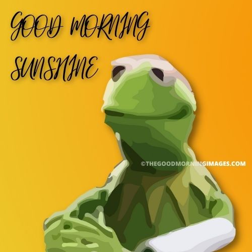 Good Morning Sunshine meme funny