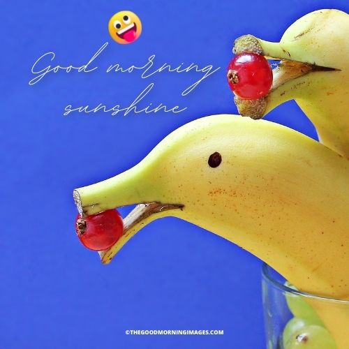 Good Morning Sunshine meme fruit