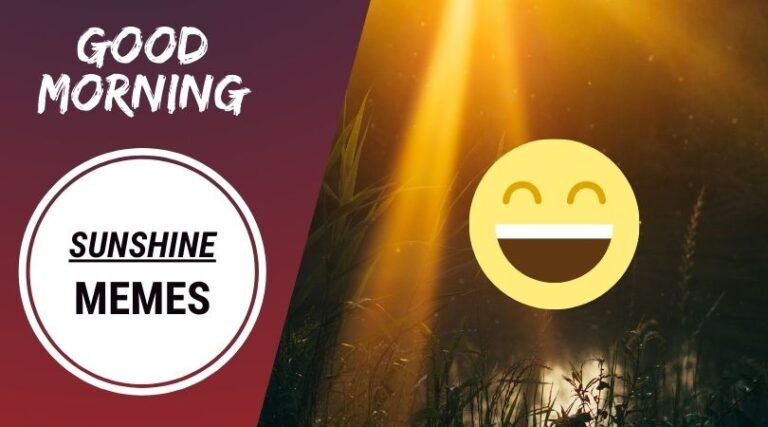 50+ Best Good Morning Sunshine Memes [2023]