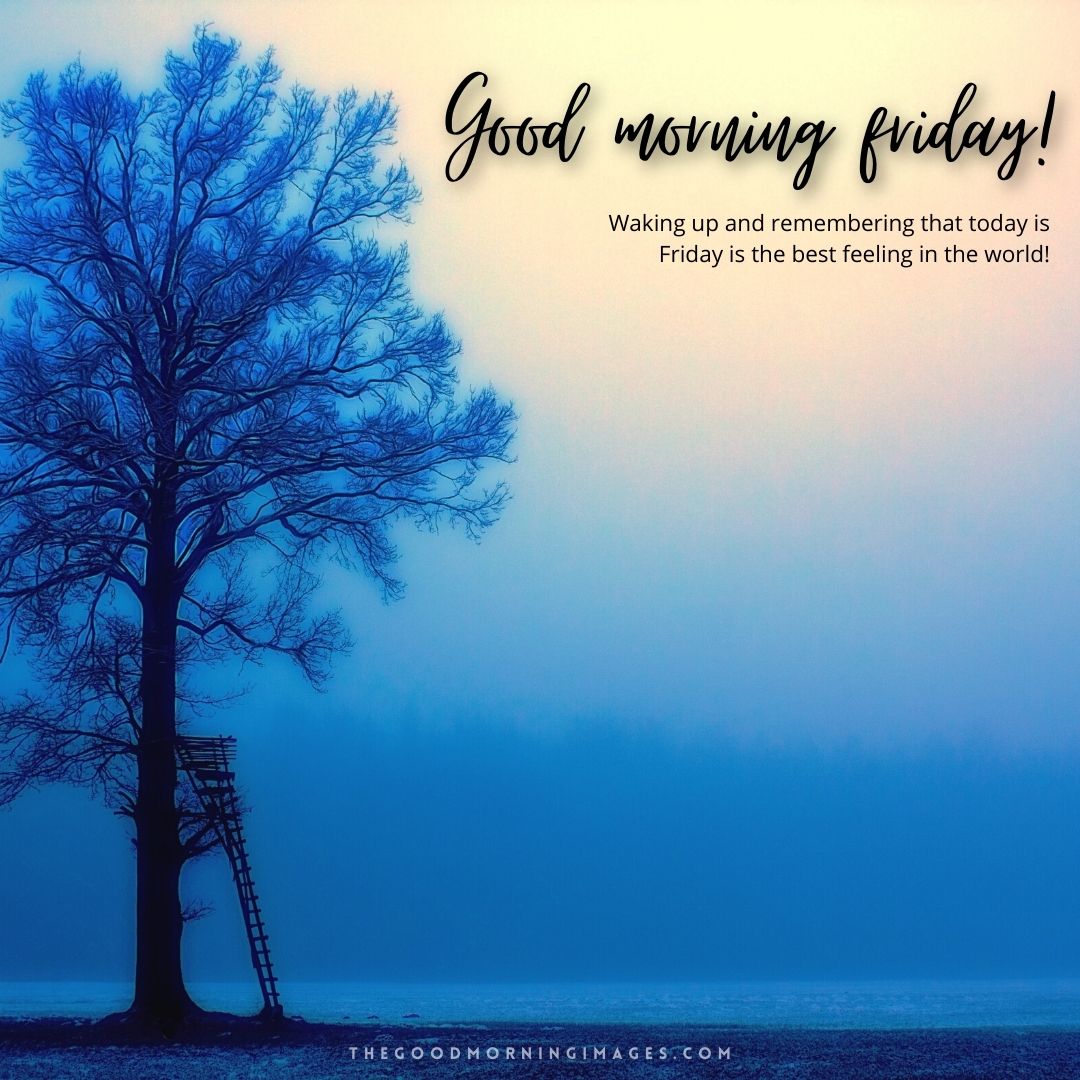 51+ [HAPPY] Good Morning Friday Images 2023