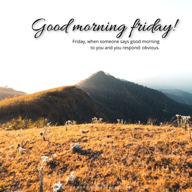 51+ [HAPPY] Good Morning Friday Images 2024