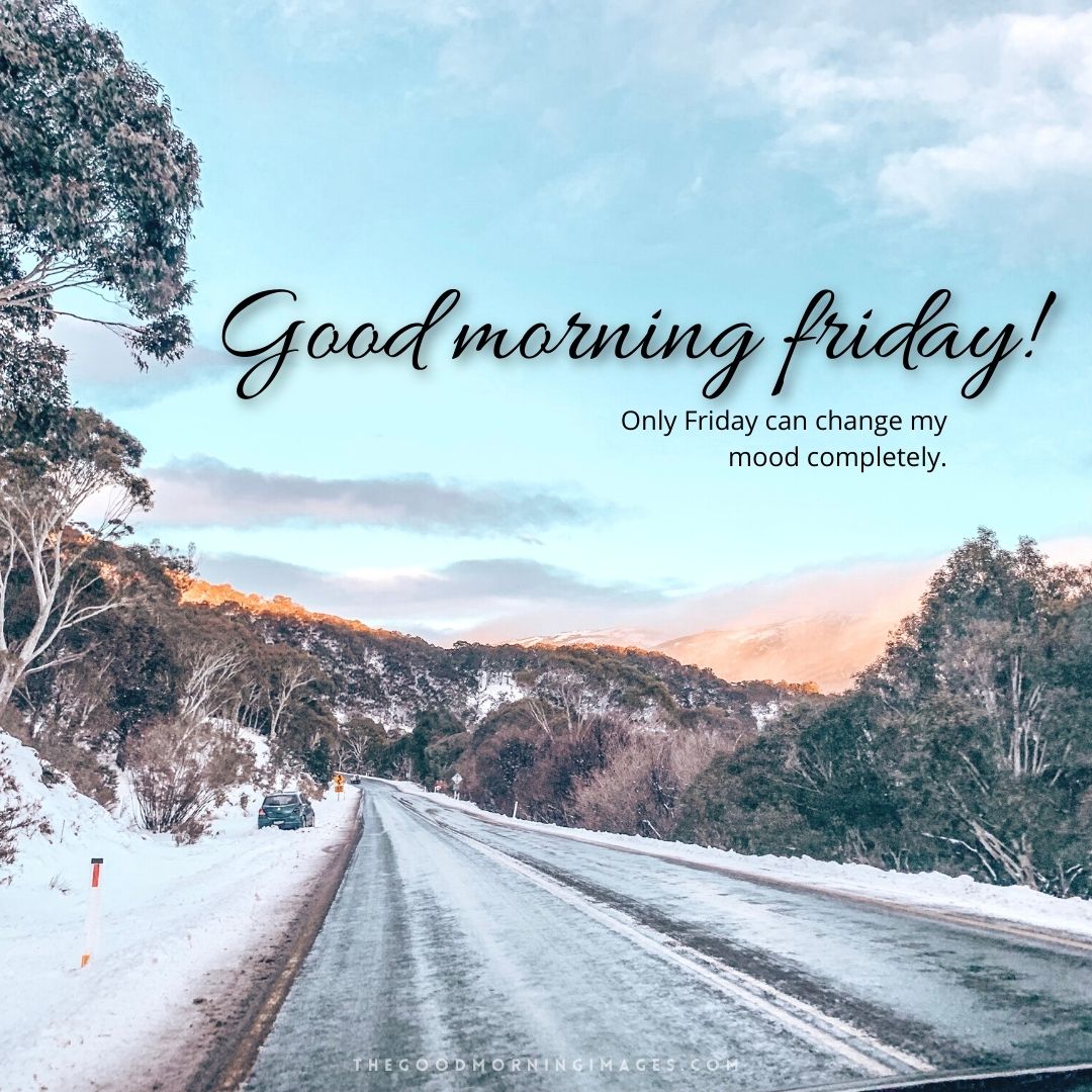 51+ [HAPPY] Good Morning Friday Images 2023