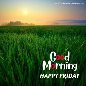 51+ [HAPPY] Good Morning Friday Images 2024