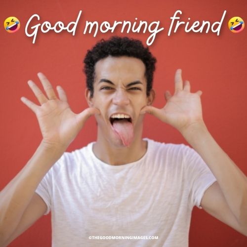 good morning friends memes