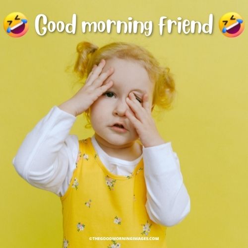 good morning friends memes