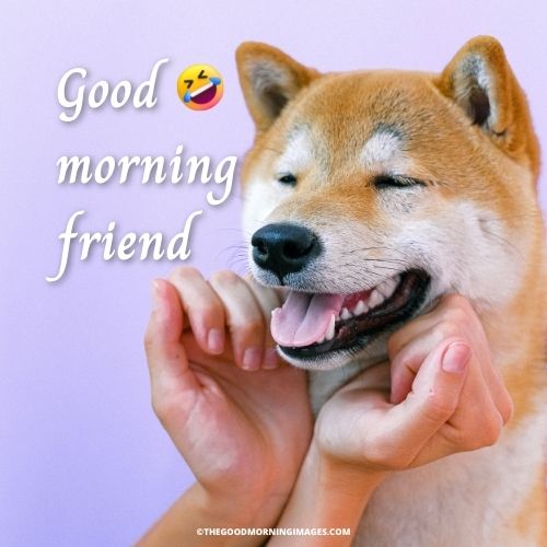 good morning memes for friends