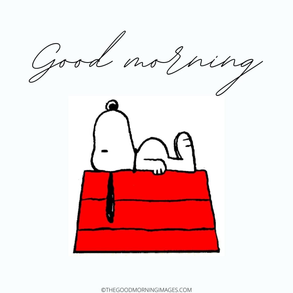 snoopy good morning pic