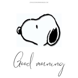 55+ Snoopy Good Morning Images [New 2024]