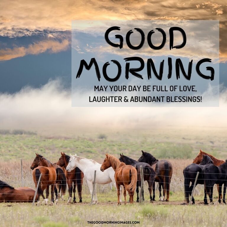 51 + Good Morning Horse Images [Energetic Pics & Quotes]