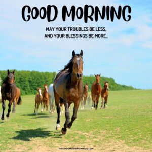 51 + Good Morning Horse Images [Energetic Pics & Quotes]