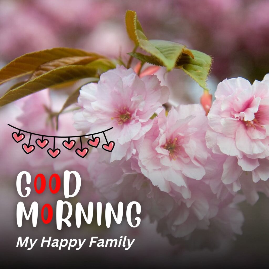 good morning my family images