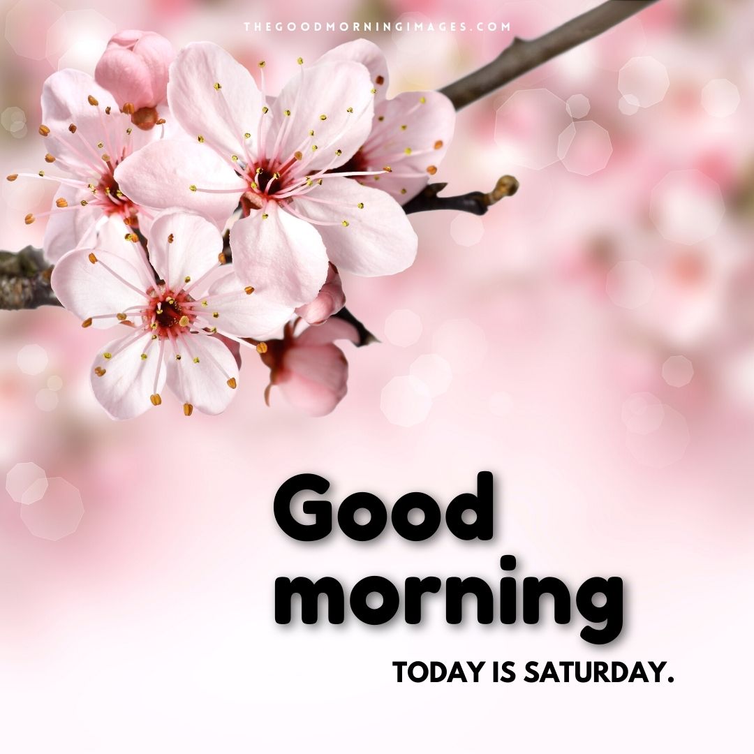 Saturday Good Morning Wallpapers on WallpaperDog