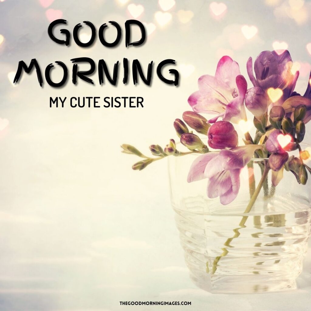 50+ Sweet Good Morning Sister Images [Make Her Day]