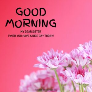 50+ Sweet Good Morning Sister Images [Make Her Day]