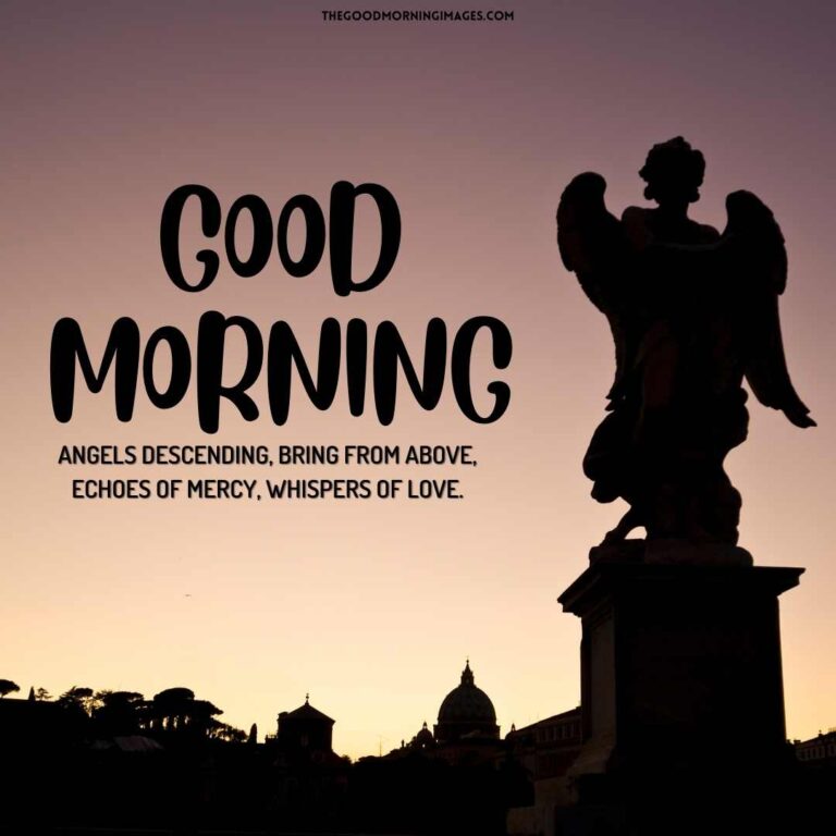 57+ Awesome Good Morning Angel Images [2024]