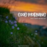 38+ Good Morning Grass Images [Green And Green]