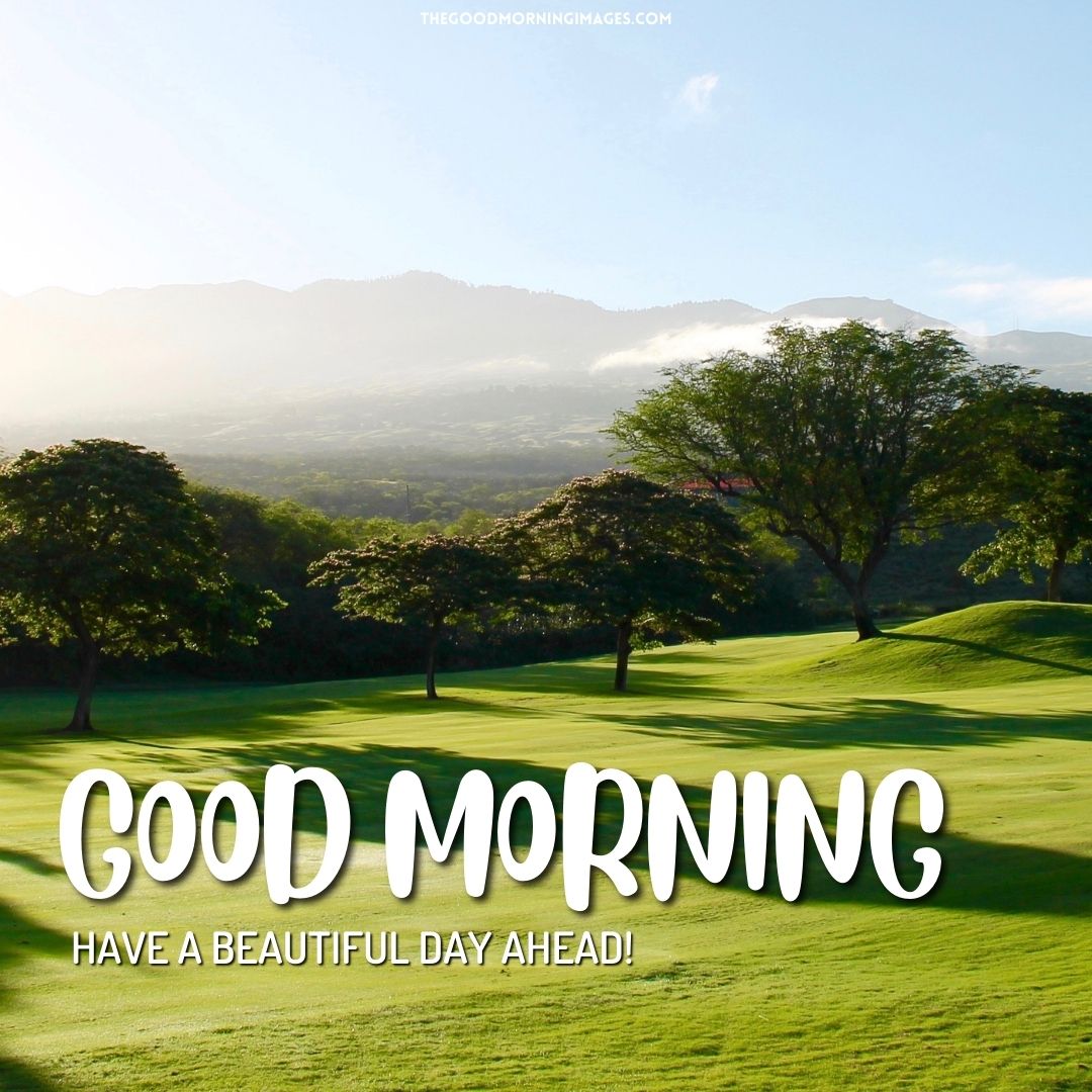 good morning green images