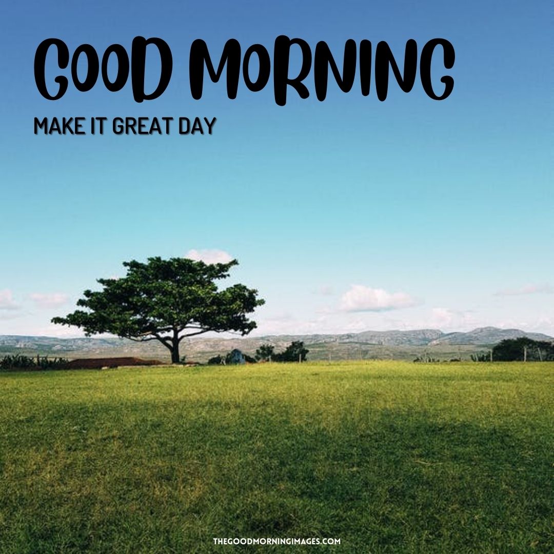 good morning tree images