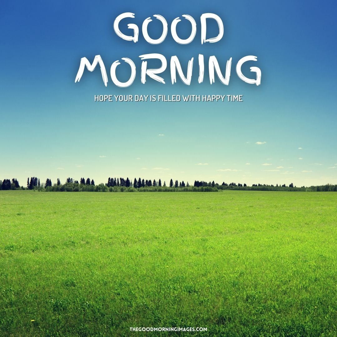 good morning lawn images
