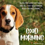 65+ [CUTE] Good Morning Dog Images [Sweet Puppy]