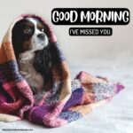 65+ [CUTE] Good Morning Dog Images [Sweet Puppy]