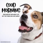 65+ [CUTE] Good Morning Dog Images [Sweet Puppy]