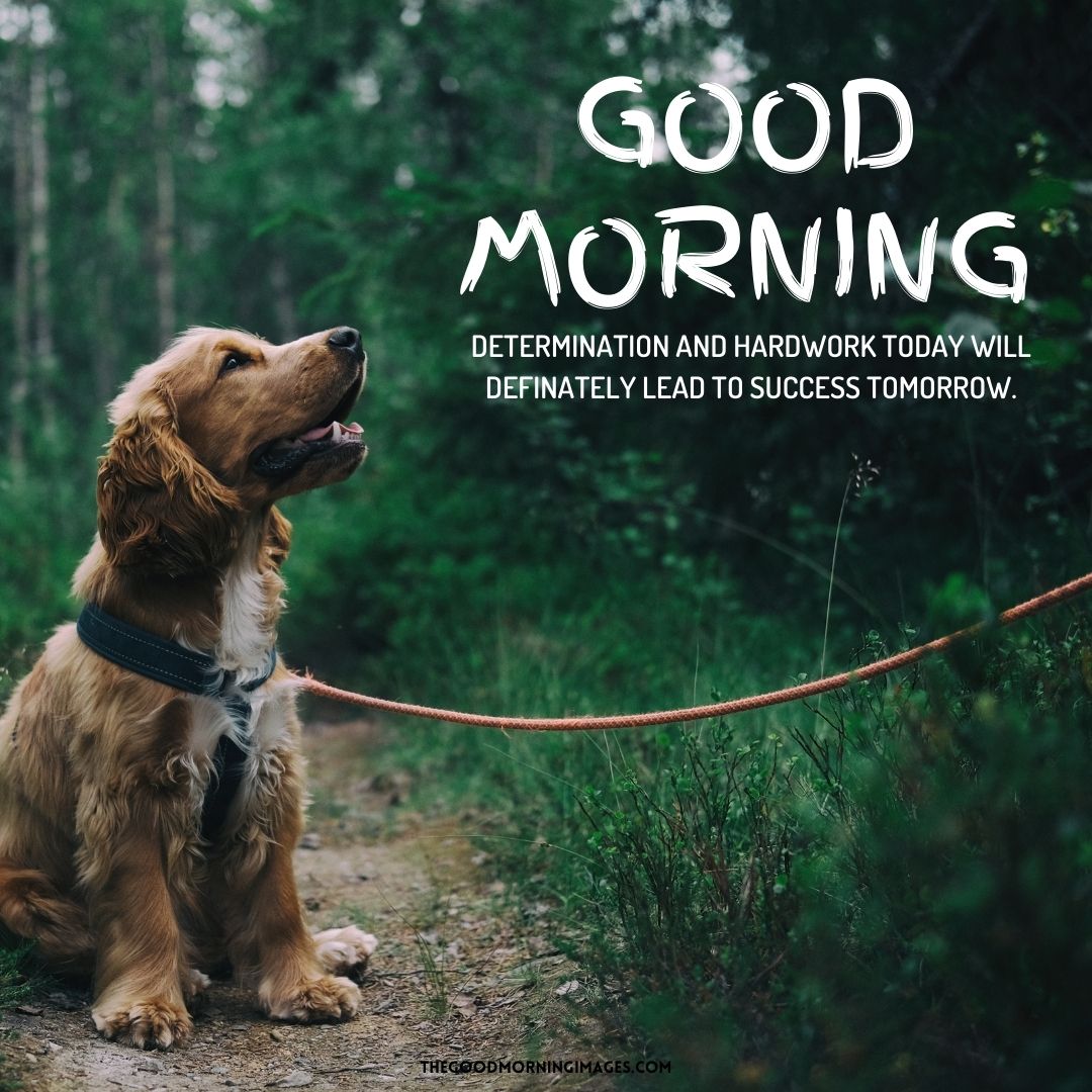 dog lover good morning