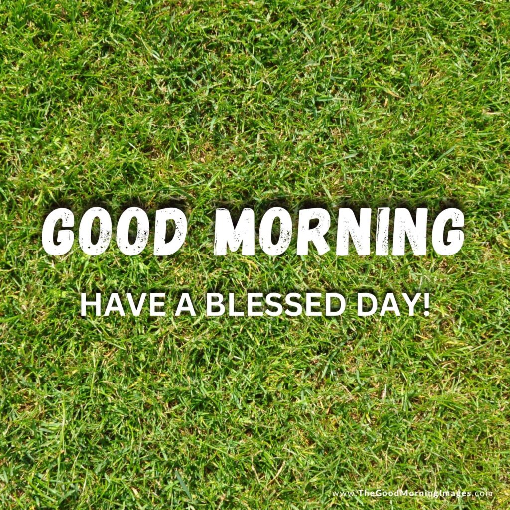 good morning grass images