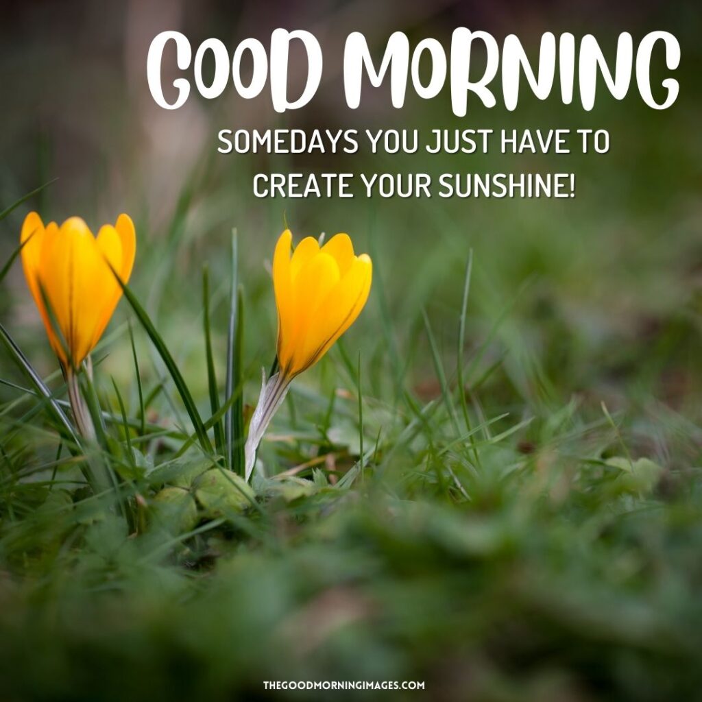 85+ Fantastic Good Morning Spring Images With Wishes