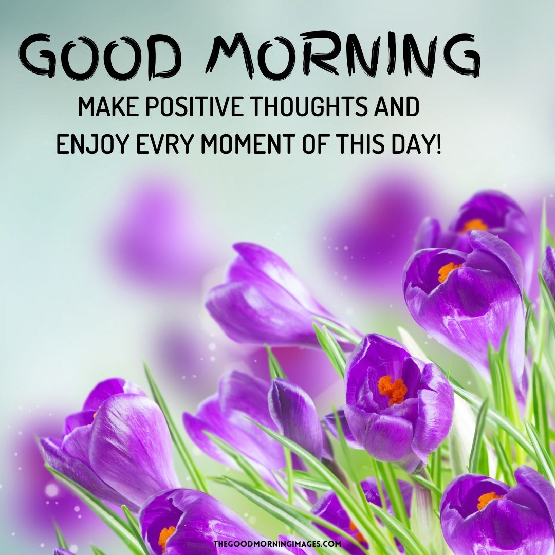 good morning spring violet flower