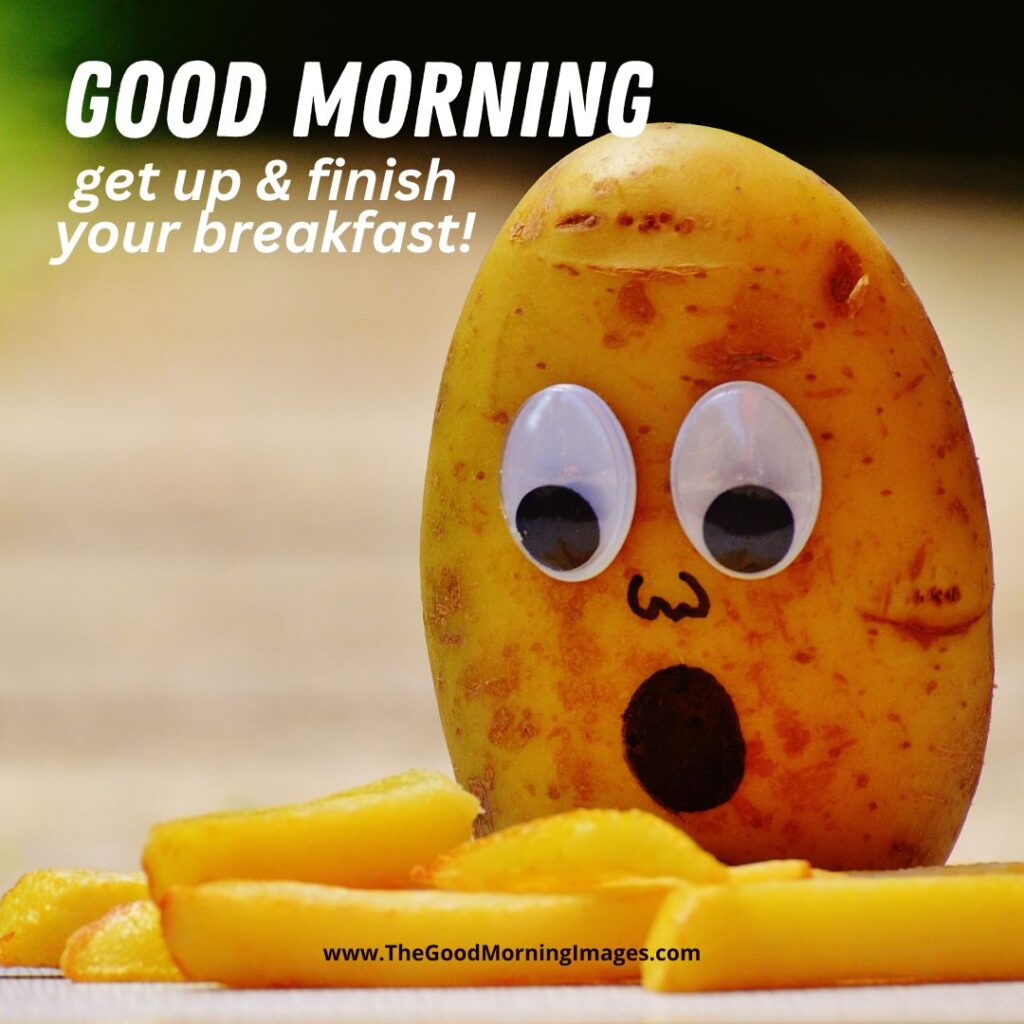 good morning potato funny images