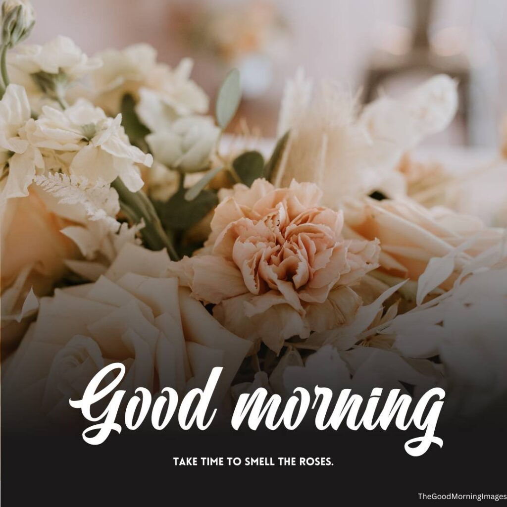 good morning flowers rose