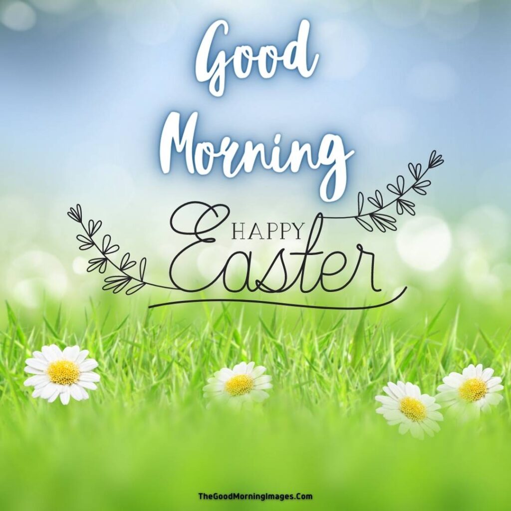 good morning happy easter day