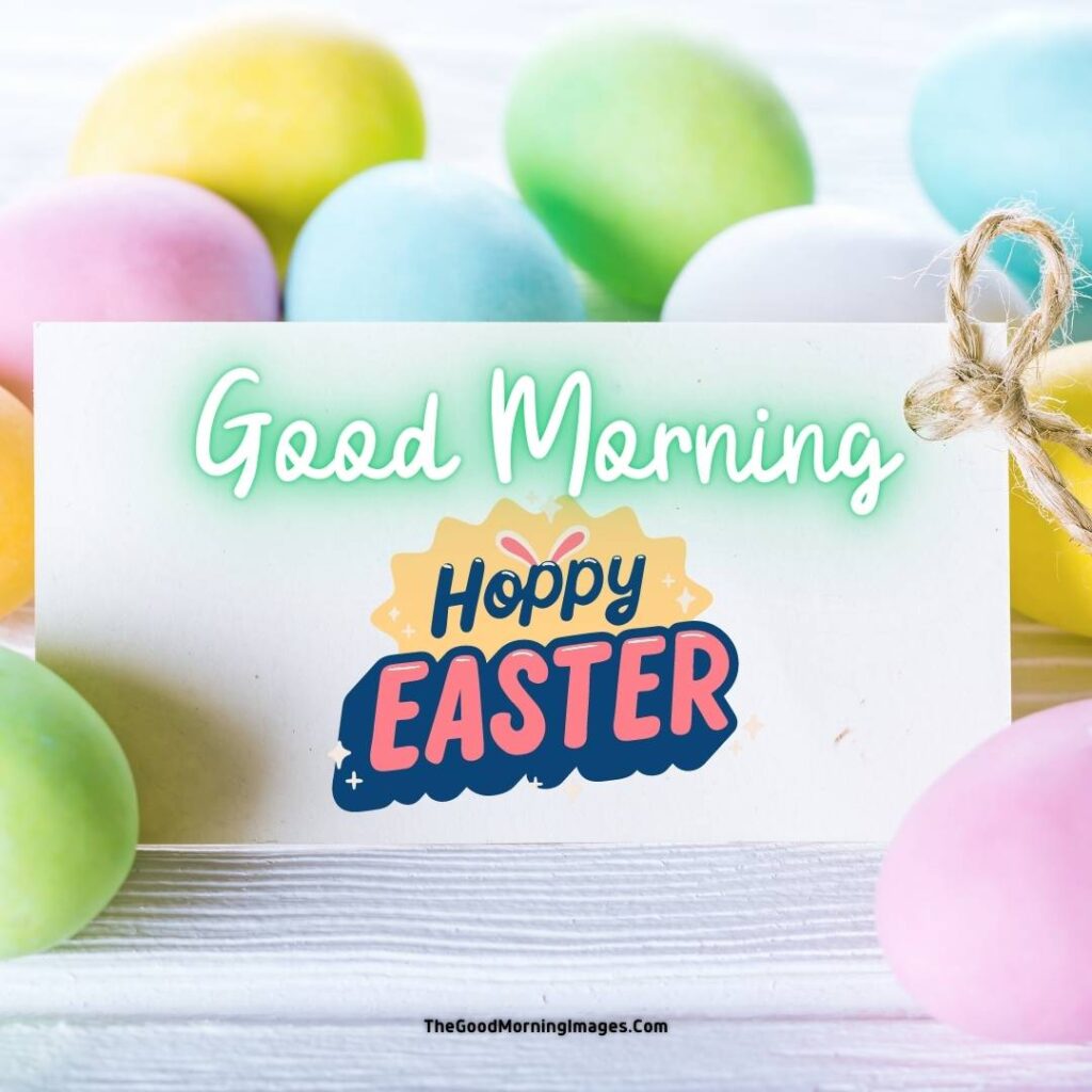 good morning and happy easter