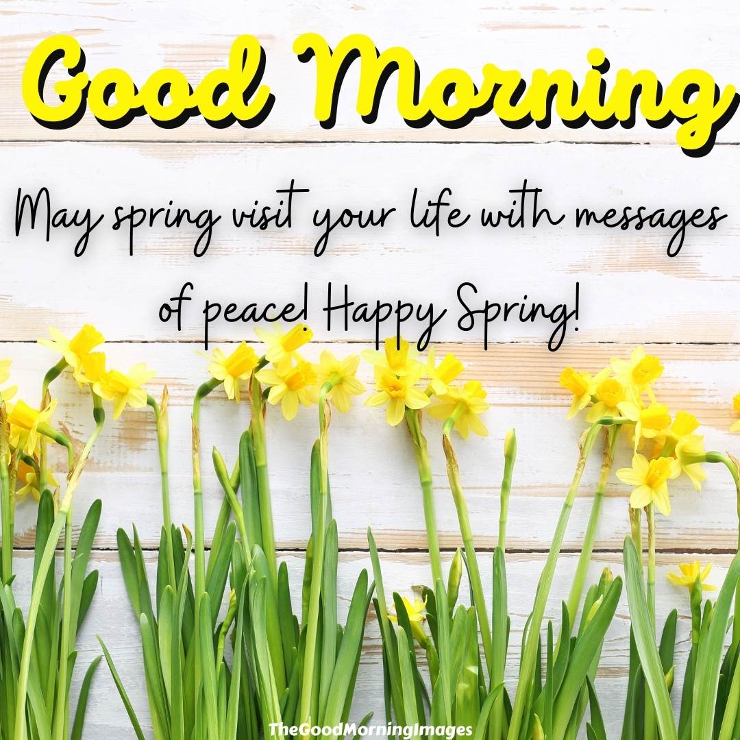 85+ Fantastic Good Morning Spring Images With Wishes