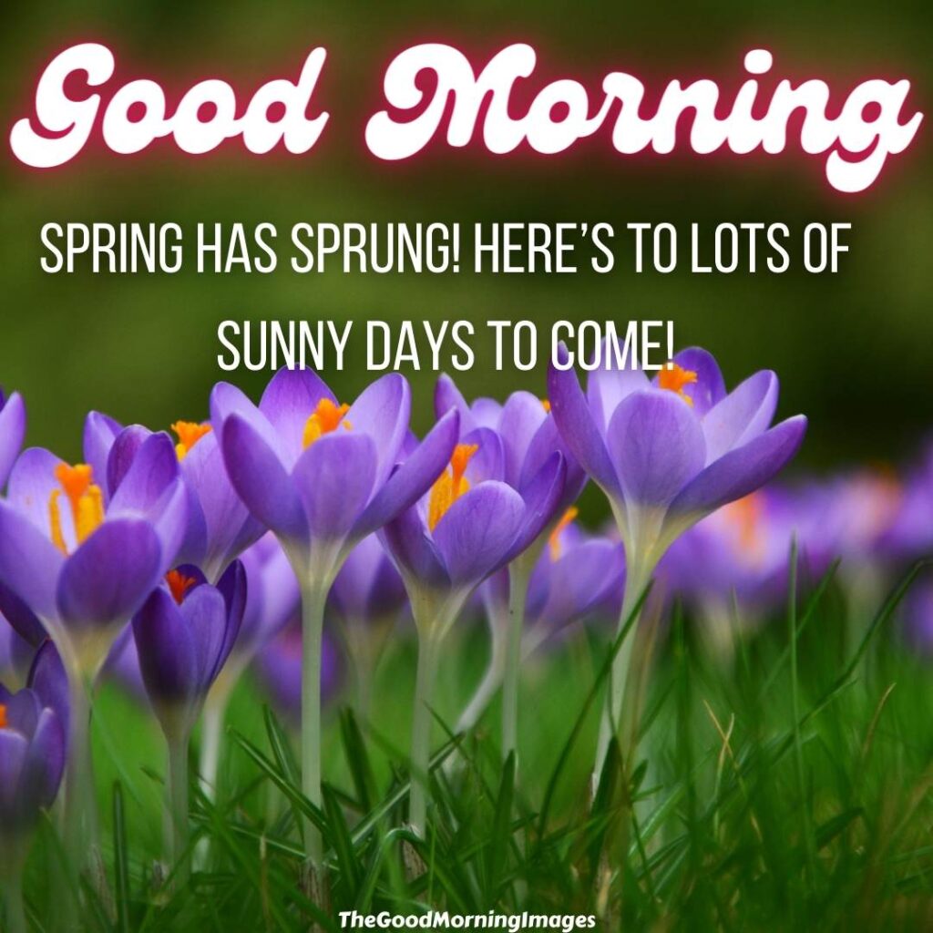 good morning happy spring images
