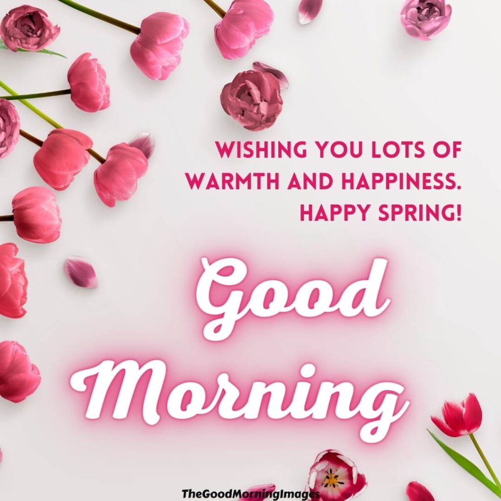 good morning images hd spring