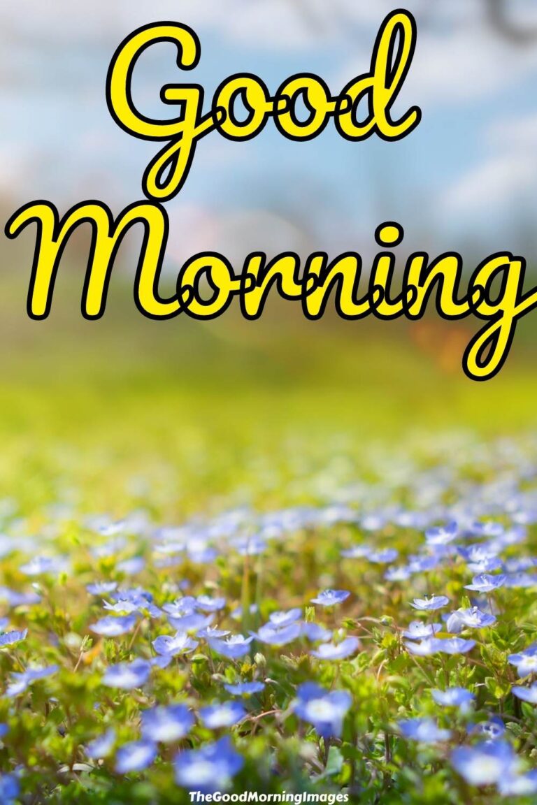 85+ Fantastic Good Morning Spring Images With Wishes