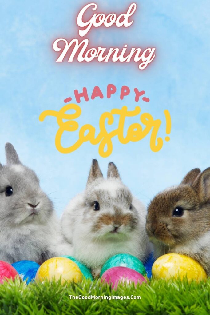 happy easter monday good morning