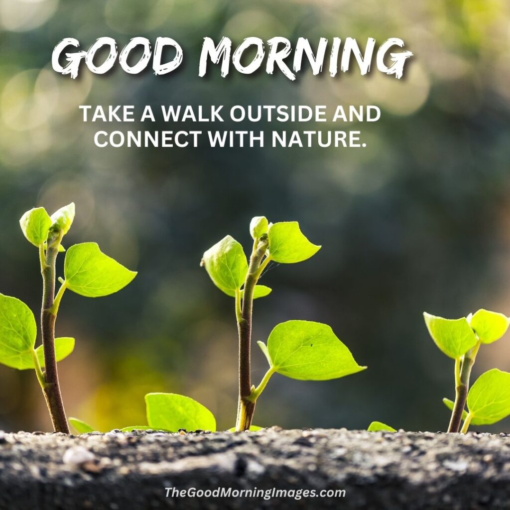 good morning images with nature quotes