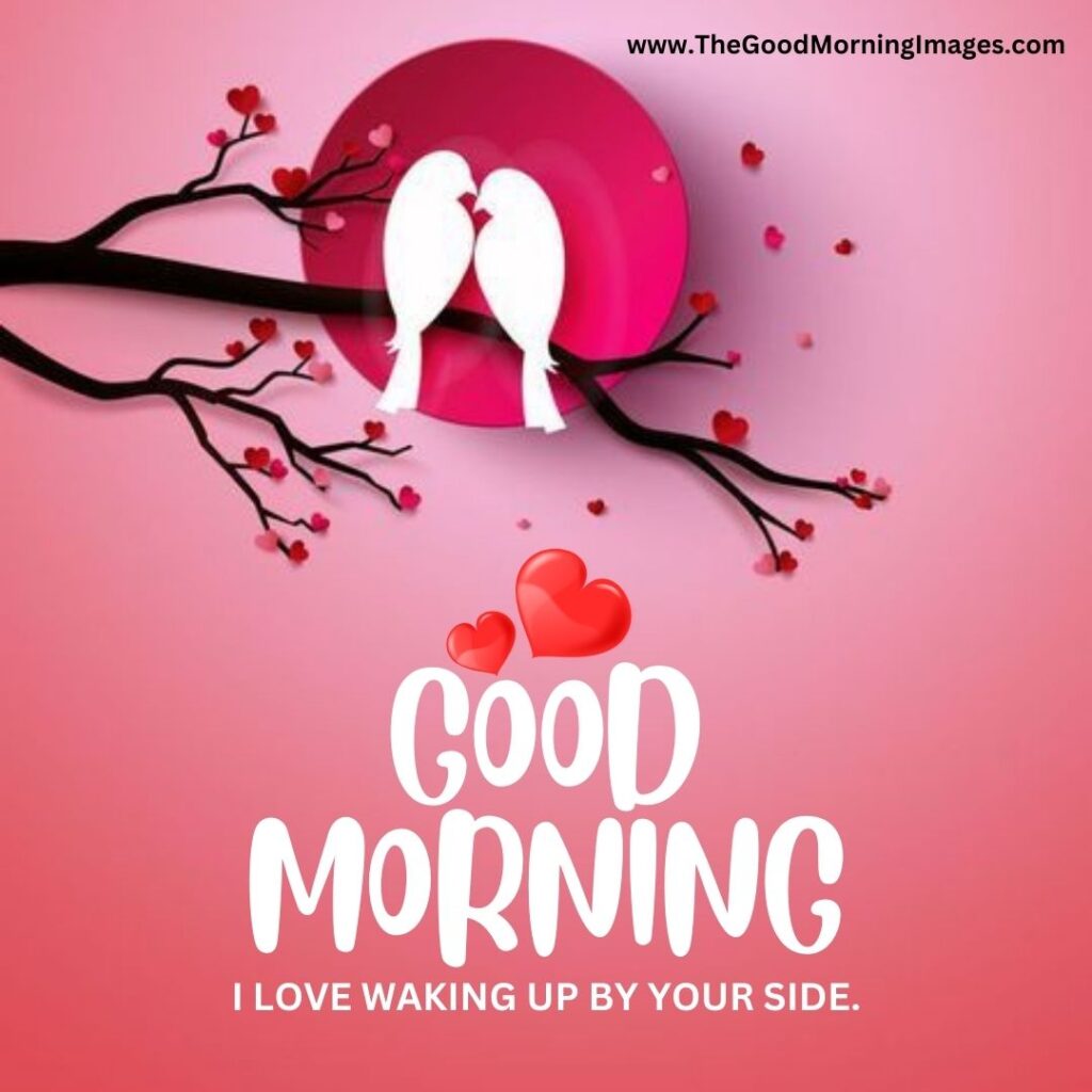 good morning images love birds