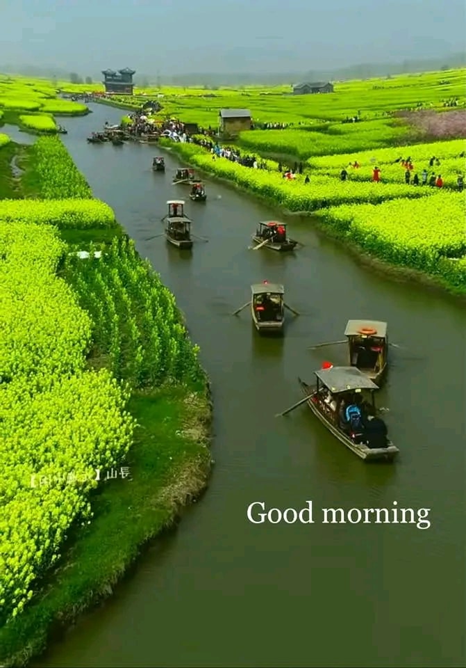 nature good morning images