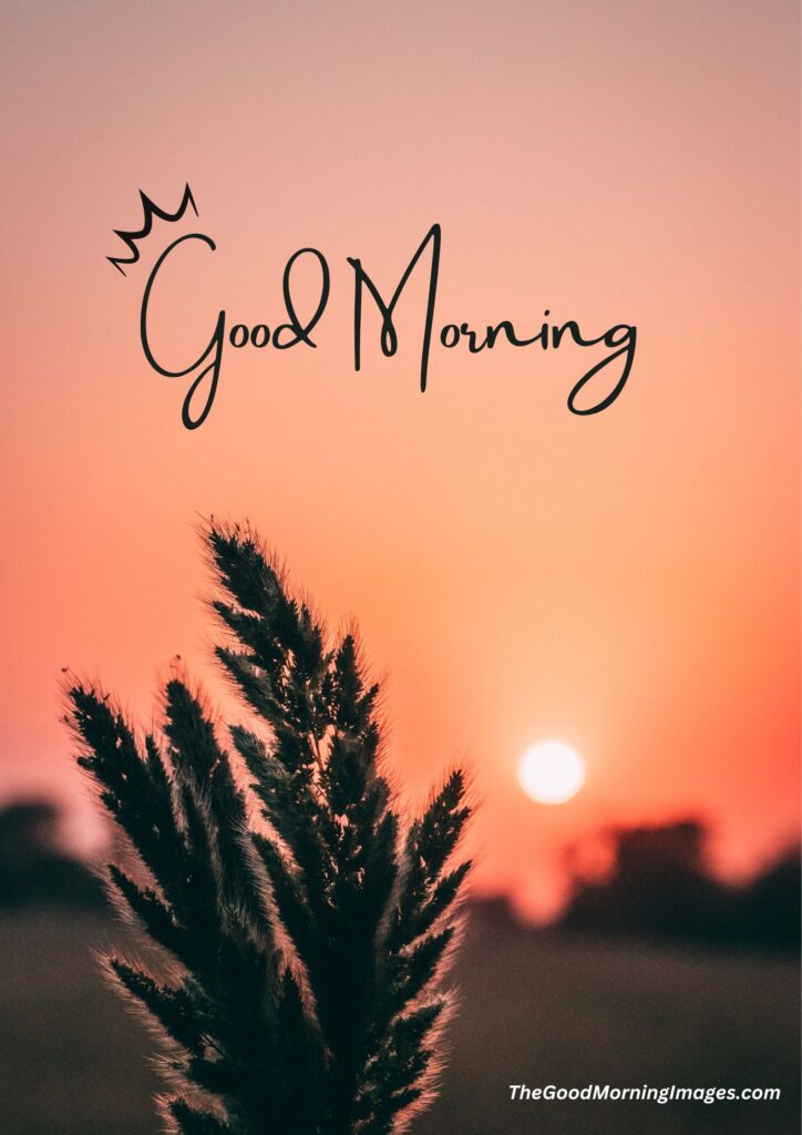 good morning poster images sun