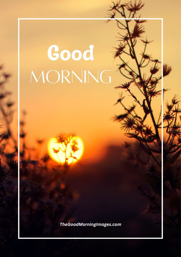 good morning poster images new