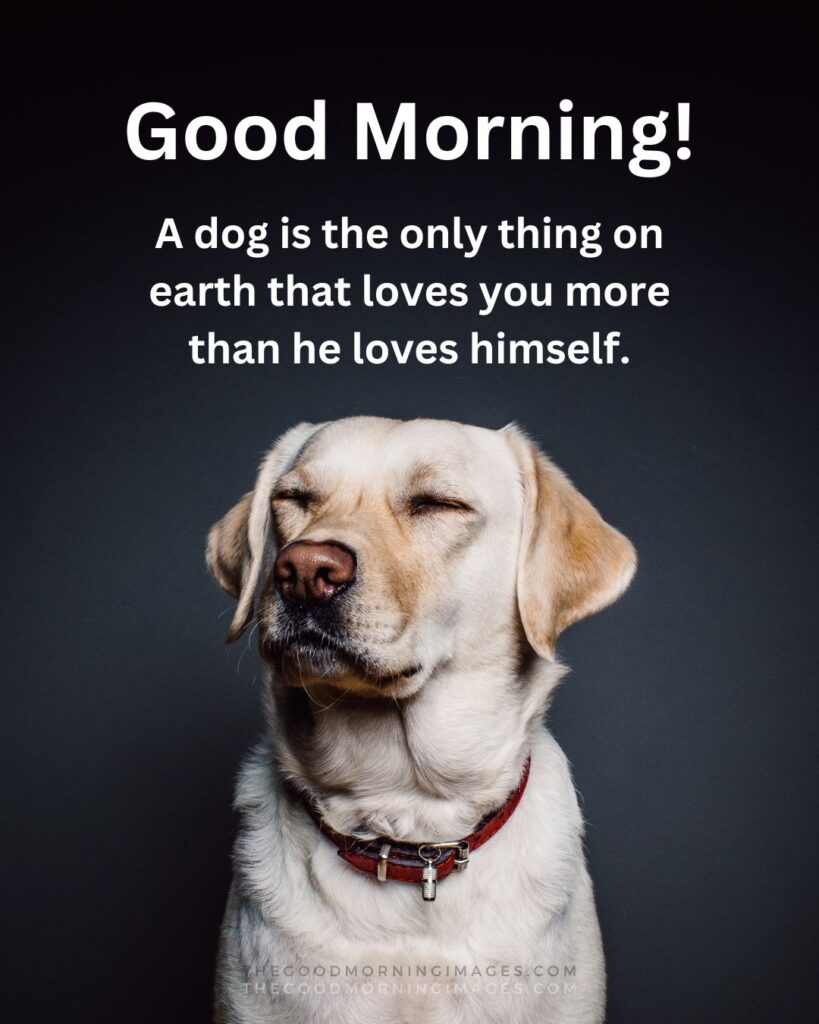 A dog is the only thing on earth that loves you more than he loves himself.